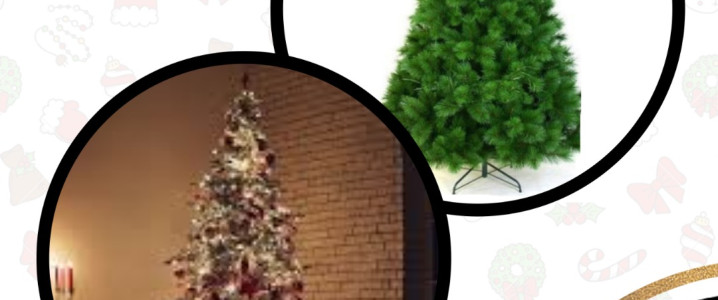 NATAL FANTASIAS RADICAIS
