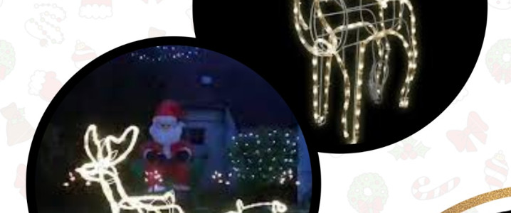 NATAL FANTASIAS RADICAIS