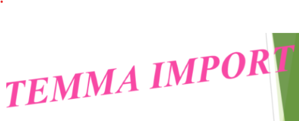 TEMMA IMPORT